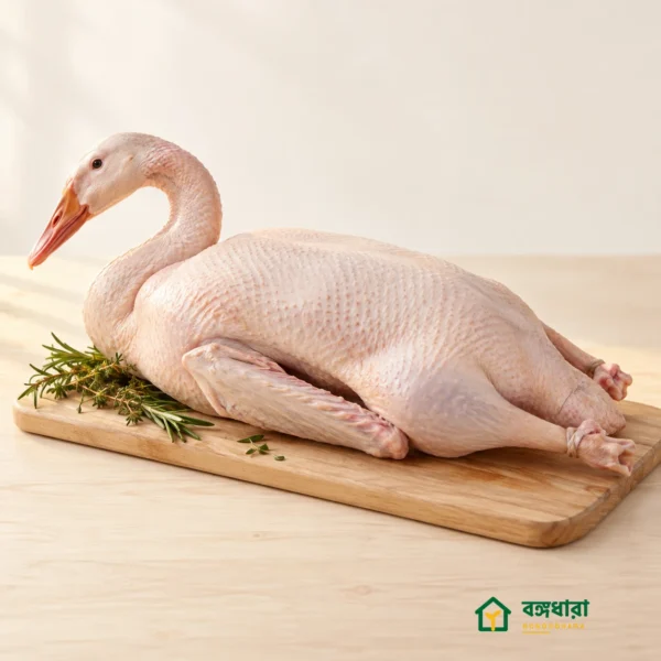 রাজহাঁস — বঙ্গধারা
